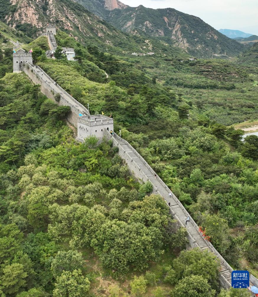 保时捷有没有app